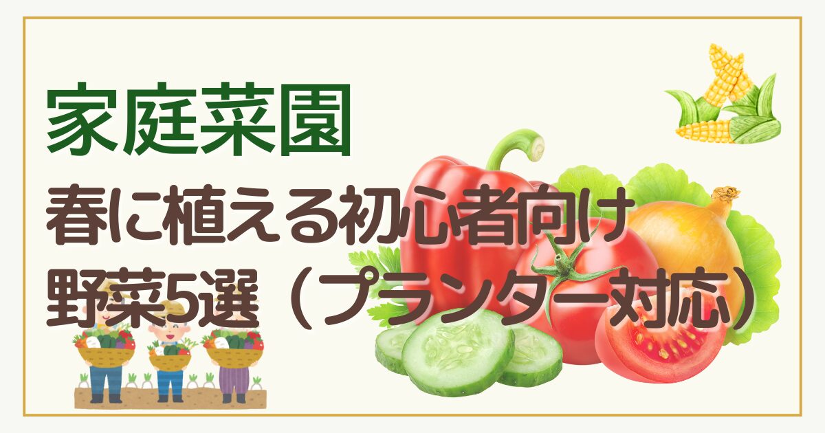 家庭菜園を春に始める初心者向けにプランターで育てやすい野菜5選を紹介するアイキャッチ