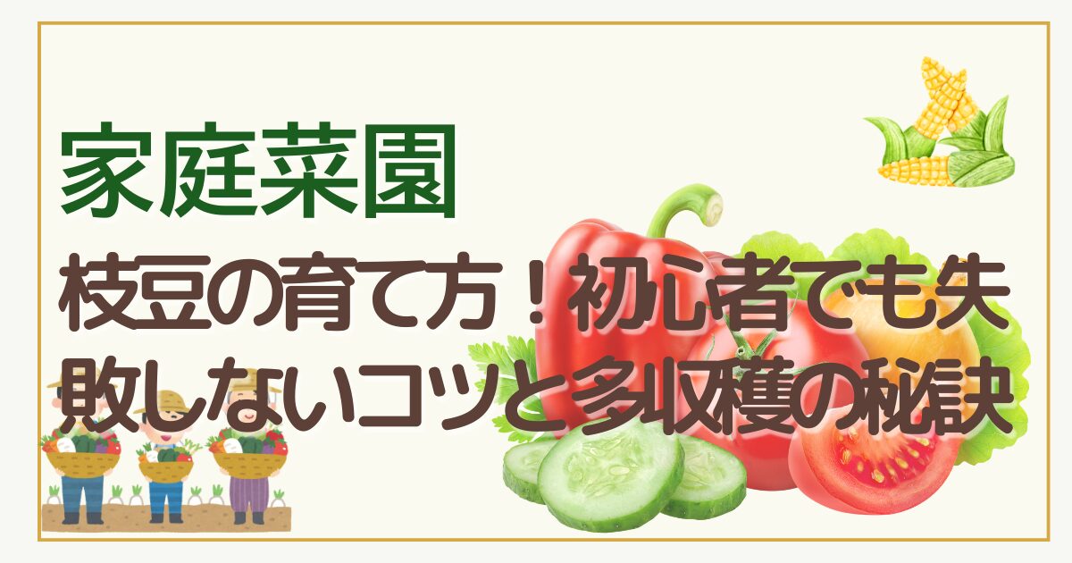 家庭菜園での枝豆の育て方！初心者でも失敗しないコツと多収穫の秘訣